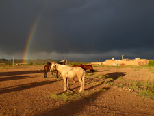 Morocco-Morocco-Oasis of Tafilalelt Expedition